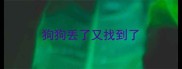 狗狗丢了又找到了
