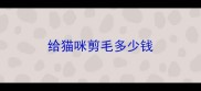 给猫咪剪毛多少钱