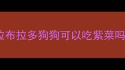 拉布拉多狗狗可以吃紫菜吗