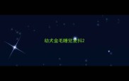 幼犬金毛睡觉发抖