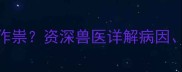 小狗腹水竟是肿瘤作祟资深兽医详解病因治疗与预防全攻略