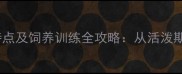 拉布拉多犬幼犬性格特点及饲养训练全攻略从活泼期到成年期的成长指南