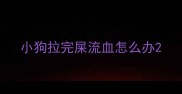 小狗拉完屎流血怎么办