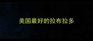 美国最好的拉布拉多