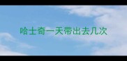哈士奇一天带出去几次