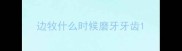 边牧什么时候磨牙牙齿