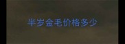 半岁金毛价格多少