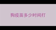 狗疫苗多少时间打