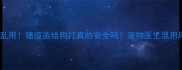 别乱用猪疫苗给狗打真的安全吗宠物医生混用风险