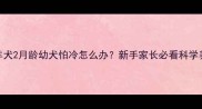 边境牧羊犬2月龄幼犬怕冷怎么办新手家长必看科学养护指南