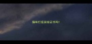 猫咪打疫苗给证书吗