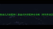 小泰迪几月能配种泰迪犬科学配种全攻略附饲养误区