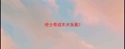 哈士奇成年犬饭量