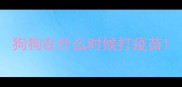 狗狗在什么时候打疫苗
