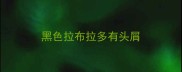 黑色拉布拉多有头屑