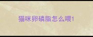 猫咪卵磷脂怎么喂