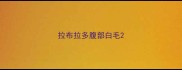 拉布拉多腹部白毛