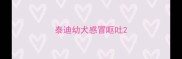 泰迪幼犬感冒呕吐