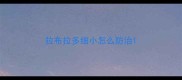 拉布拉多细小怎么防治