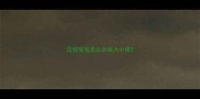边牧宝宝怎么训练大小便