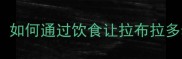 科学喂养指南如何通过饮食让拉布拉多幼犬健康增肥