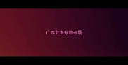 广西北海宠物市场