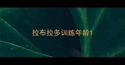 拉布拉多训练年龄