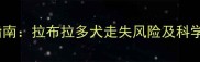 宠物防丢指南拉布拉多犬走失风险及科学应对策略