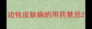 边牧皮肤病的用药禁忌