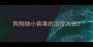 狗狗细小病毒的治疗方法