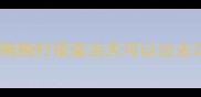 狗狗打疫苗当天可以出去
