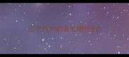 三个月大的金毛喂什么