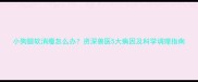 小狗腿软消瘦怎么办资深兽医5大病因及科学调理指南