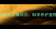 宠物常规体检的5大必做项目科学养护宠物健康的关键