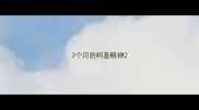 3个月的柯基精神