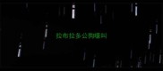 拉布拉多公狗嚎叫