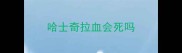 哈士奇拉血会死吗