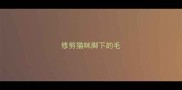 修剪猫咪脚下的毛