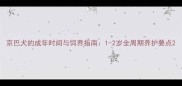 京巴犬的成年时间与饲养指南1-2岁全周期养护要点