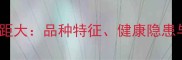 拉布拉多犬眼间距大品种特征健康隐患与科学改善指南
