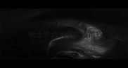 哈士奇幼犬不打疫苗