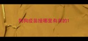 狗狗疫苗接哪里有卖的