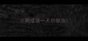 小狗疫苗一天后驱虫