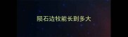 陨石边牧能长到多大