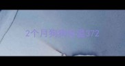 2个月狗狗体温37