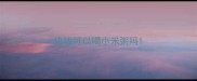 边牧可以喝小米粥吗