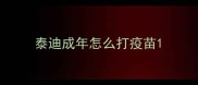 泰迪成年怎么打疫苗
