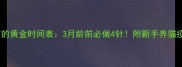 小猫打疫苗的黄金时间表3月龄前必做4针附新手养猫疫苗全攻略