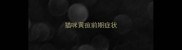 猫咪黄疸前期症状