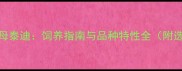 公泰迪VS母泰迪饲养指南与品种特性全附选购建议